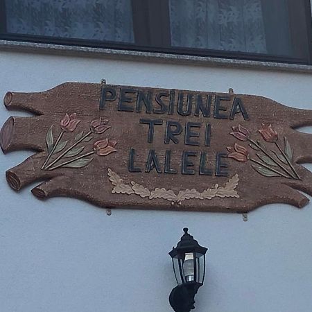 Pensiunea Trei Lalele Мойсей Экстерьер фото