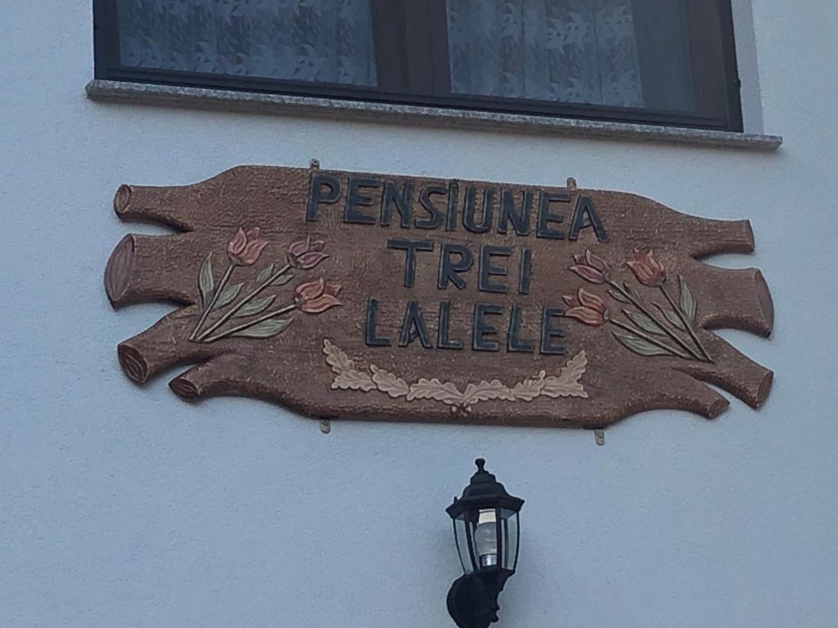 Pensiunea Trei Lalele Мойсей Экстерьер фото